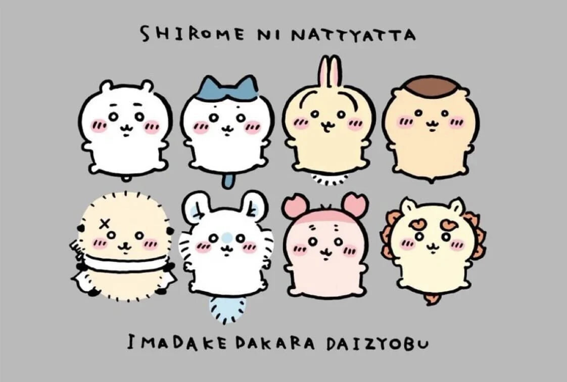 Chiikawa “Bean Eye” Series