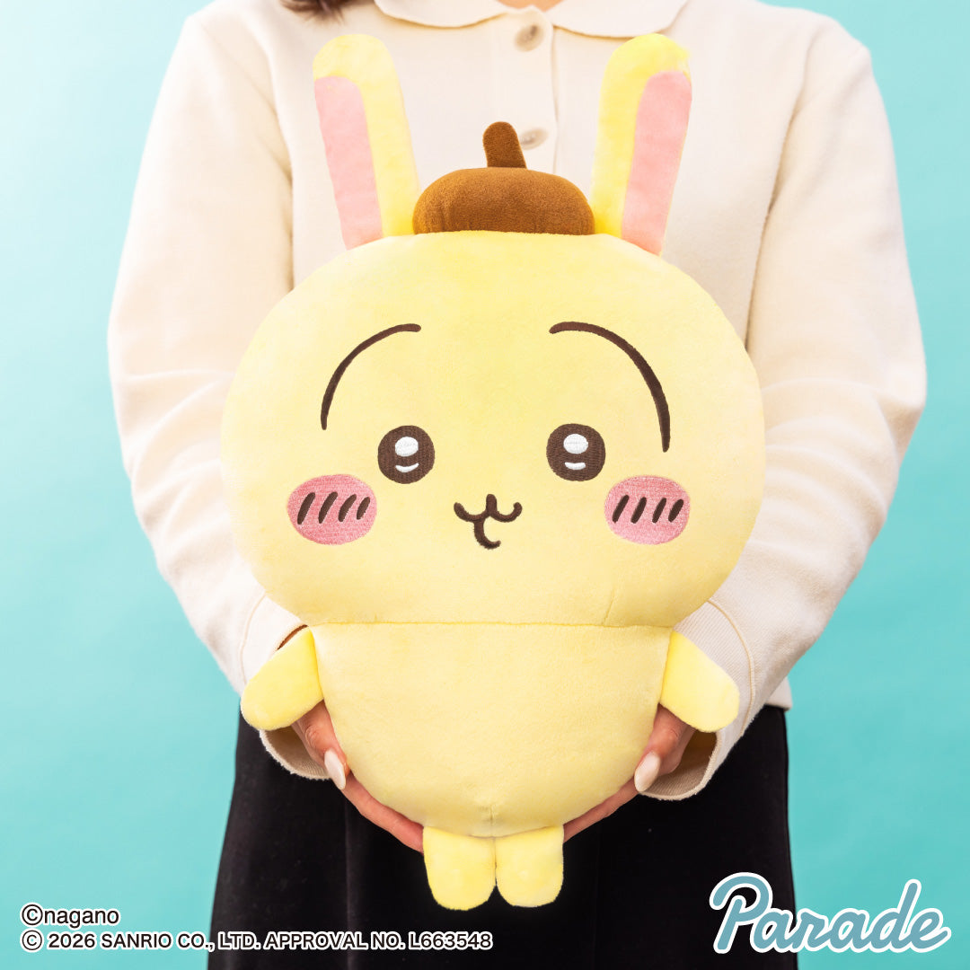 Chiikawa x Sanrio Characters Big Plush Toy②